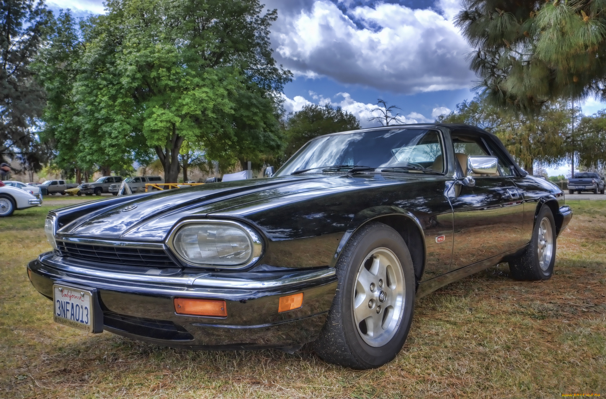 jaguar xjs, ,    , , 